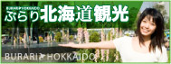 �Ԃ��k�C���ό�